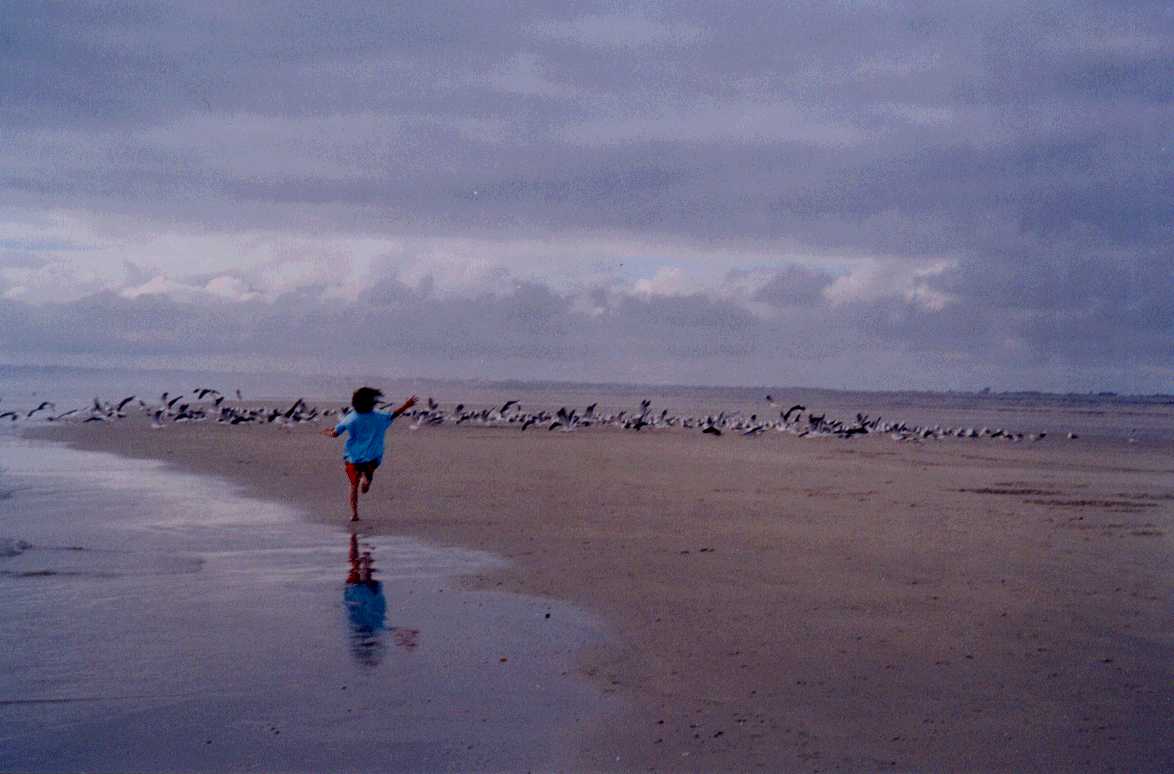 Strand bei Plovan